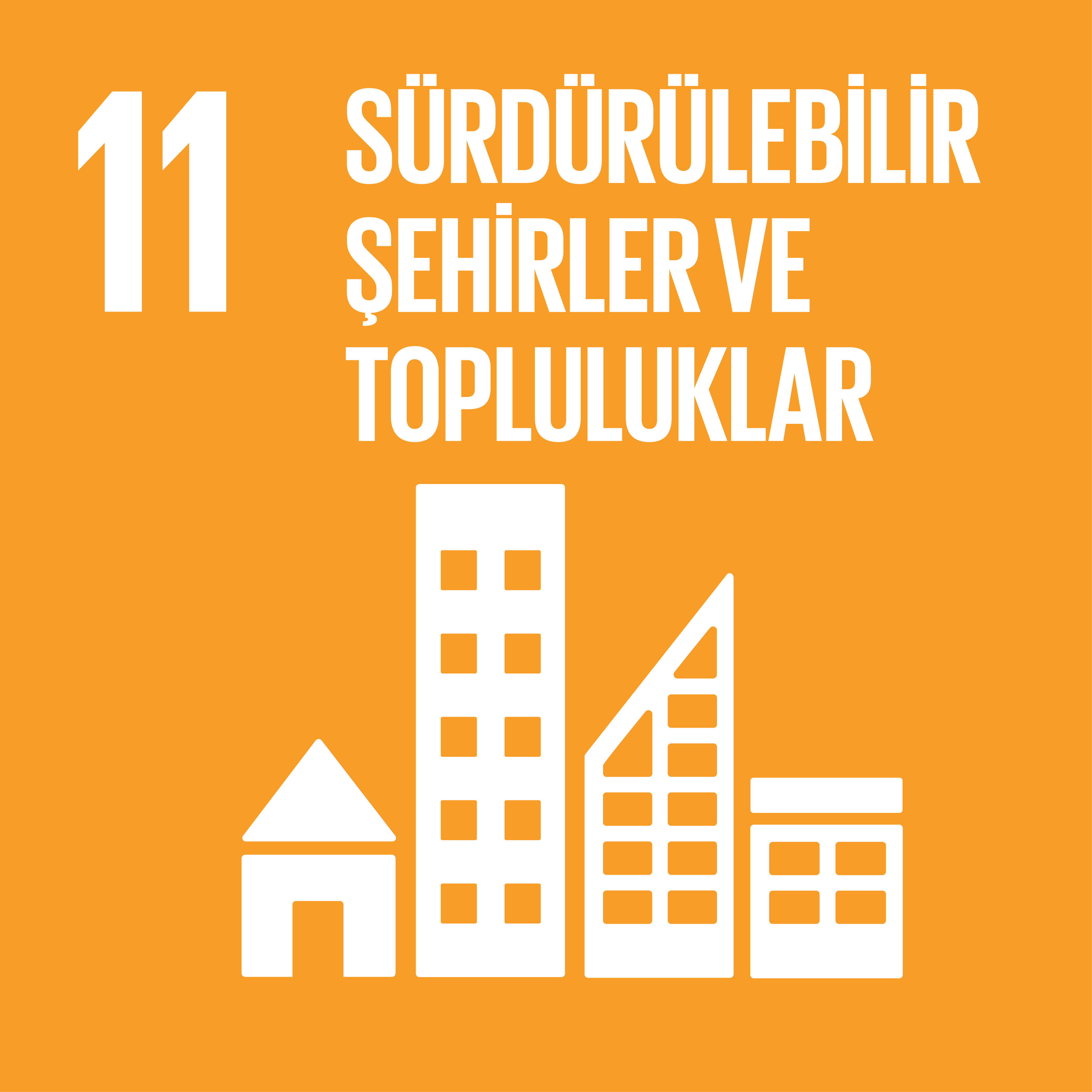 Sürdürülebilir Şehirler ve Topluluklar 